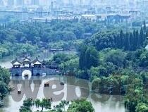 国产剧情av麻豆香蕉精品-影视艺术的新潮探索，国产剧情与AV麻豆香蕉精品的文化交融