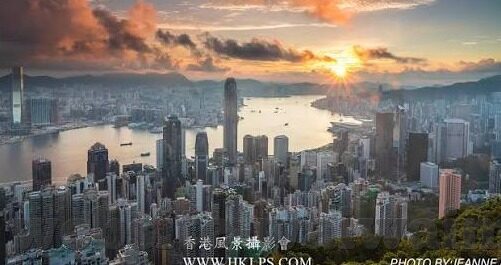 果冻传媒应用-探索果冻传媒应用，创新与娱乐的完美融合