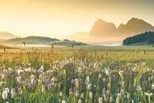 麻豆播放器app-麻豆播放器App，重塑影像观赏的数字化探索