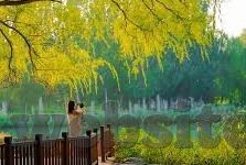 台湾麻豆传媒违法-台湾麻豆传媒系列事件之法律与伦理界限