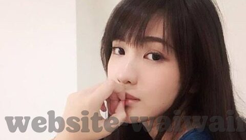 糖心vlog官网地址-探索糖心vlog的精彩世界，官网之旅的温馨指南