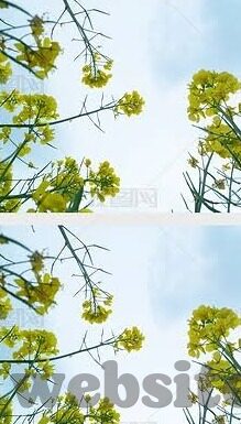 糖心vloy官网-可以简单而富有吸引力的表达