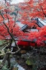 亚洲一区二区电影-亚洲电影的多元风貌，一区二区的文化与艺术交融